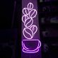 Dekoratives LED Neonschild mit Kaffeetassenmotiv und aufsteigenden Kaffeebohnen als stilvolle Wandbeleuchtung für Café Küche Bar oder moderne Gastrobereiche