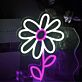 Gänseblümchen LED-Neonschild Wohnzimmer Kinderzimmer