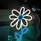 Gänseblümchen LED-Neonschild Wohnzimmer Kinderzimmer