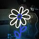 Gänseblümchen LED-Neonschild Wohnzimmer Kinderzimmer