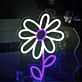 Gänseblümchen LED-Neonschild Wohnzimmer Kinderzimmer