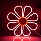 Gänseblümchen LED-Neonschild Wohnzimmer Schlafzimmer