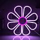 Gänseblümchen LED-Neonschild Wohnzimmer Schlafzimmer