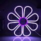 Gänseblümchen LED-Neonschild Wohnzimmer Schlafzimmer