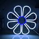 Gänseblümchen LED-Neonschild Wohnzimmer Schlafzimmer