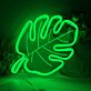 Monstera Blatt LED-Neonschild Wohnzimmer Schlafzimmer