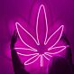 Cannabisblatt LED-Neonschild für Bar Wohnzimmer