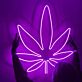 Cannabisblatt LED-Neonschild für Bar Wohnzimmer