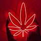 Cannabisblatt LED-Neonschild für Bar Wohnzimmer
