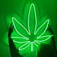 Cannabisblatt LED-Neonschild für Bar Wohnzimmer