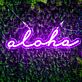 Aloha LED Neon Schriftzug als Wanddekoration