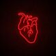 Anatomisches Herz LED-Neonschild für Wohnzimmer oder Bar