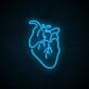 Anatomisches Herz LED-Neonschild für Wohnzimmer oder Bar