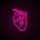 Anatomisches Herz LED-Neonschild für Wohnzimmer oder Bar