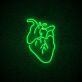 Anatomisches Herz LED-Neonschild für Wohnzimmer oder Bar