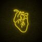 Anatomisches Herz LED-Neonschild für Wohnzimmer oder Bar