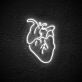 Anatomisches Herz LED-Neonschild für Wohnzimmer oder Bar