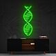 DNA Doppelhelix LED-Neonschild Wohnzimmer Büro