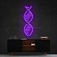 DNA Doppelhelix LED-Neonschild Wohnzimmer Büro