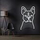 Französische Bulldogge LED-Neonschild Wohnzimmer Haustierladen