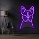 Französische Bulldogge LED-Neonschild Wohnzimmer Haustierladen