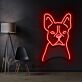 Französische Bulldogge LED-Neonschild Wohnzimmer Haustierladen