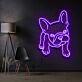 Französische Bulldogge LED-Neonschild für Wohnzimmer oder Haustierladen
