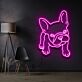 Französische Bulldogge LED-Neonschild für Wohnzimmer oder Haustierladen