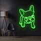 Französische Bulldogge LED-Neonschild für Wohnzimmer oder Haustierladen
