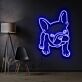 Französische Bulldogge LED-Neonschild für Wohnzimmer oder Haustierladen
