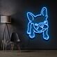 Französische Bulldogge LED-Neonschild für Wohnzimmer oder Haustierladen