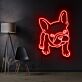 Französische Bulldogge LED-Neonschild für Wohnzimmer oder Haustierladen