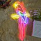 Papagei auf Ast LED-Neonschild Wohnzimmer Bar