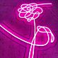 Rose LED-Neonschild Wohnzimmer Schlafzimmer