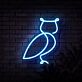 Eule LED-Neonschild Wohnzimmer Bar