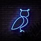 Eule LED-Neonschild Wohnzimmer Bar