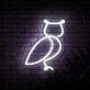Eule LED-Neonschild Wohnzimmer Bar