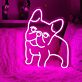 Französische Bulldogge LED-Neonschild Wohnzimmer Schlafzimmer