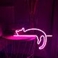 schlafende Katze LED-Neonschild Schlafzimmer Wohnzimmer