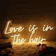 Love is in the hair LED-Neonschild für Friseursalon