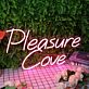 Pleasure Cove LED-Neonschild für Bar Club