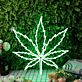 Cannabisblatt LED-Neonschild für Bar Club
