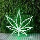 Cannabisblatt LED-Neonschild für Bar Club
