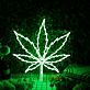 Cannabisblatt LED-Neonschild für Bar Club