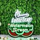 Loose Leaf Watermelon Dream LED-Neonschild für Bar Club