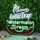 Loose Leaf Watermelon Dream LED-Neonschild für Bar Club