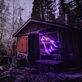 Heulender Wolf LED-Neonschild Wohnzimmer Bar