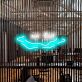 geschlossene Augen mit Wellenlinie LED-Neonschild Wohnzimmer Schlafzimmer