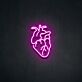 Anatomisches Herz LED-Neonschild