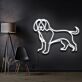 Hund LED-Neonschild Wohnzimmer Haustierladen